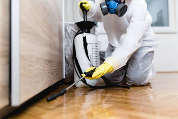 Best Cockroach Control Services  in Owensville, MO