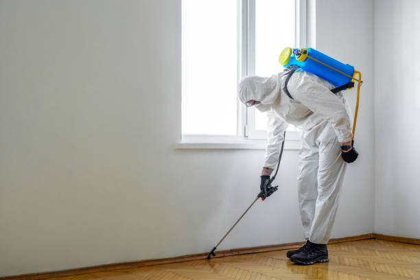 Best Pest Prevention Services  in Owensville, MO