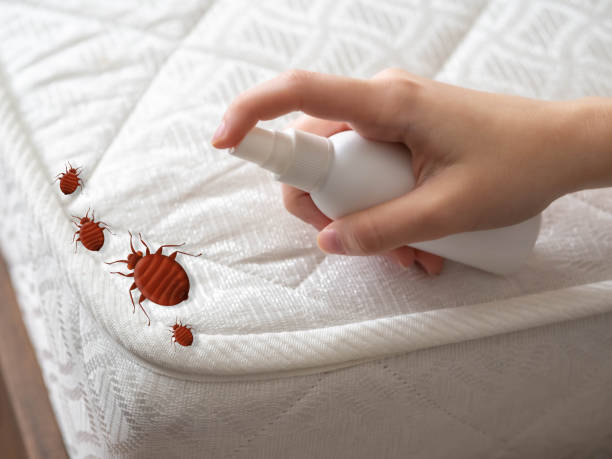 Best Pest Inspection Near Me  in Owensville, MO
